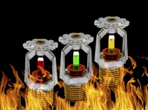 WhatsApp Image 2022-09-30 at 10.01.48